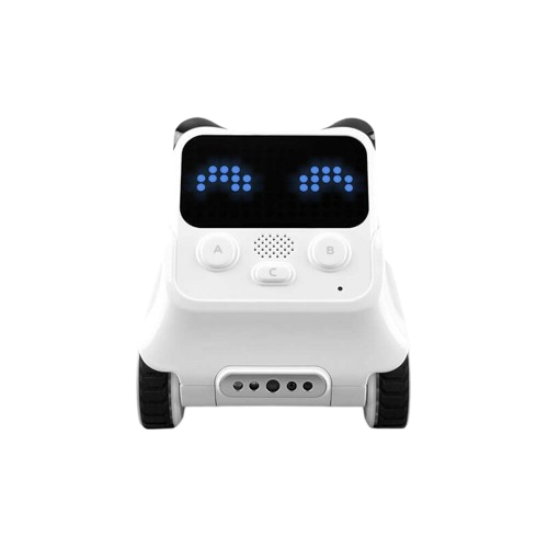 codey_rocky-removebg-preview